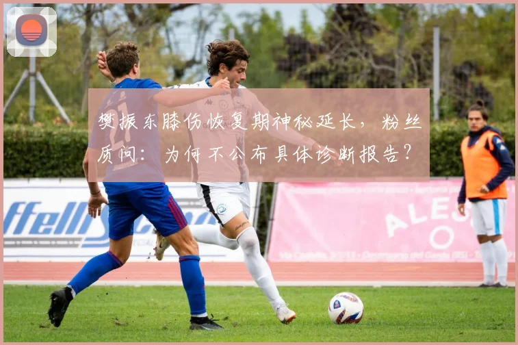 樊振东膝伤恢复期神秘延长，粉丝质问：为何不公布具体诊断报告？